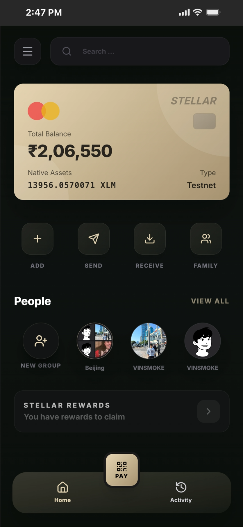 Ching Pay Home Screen